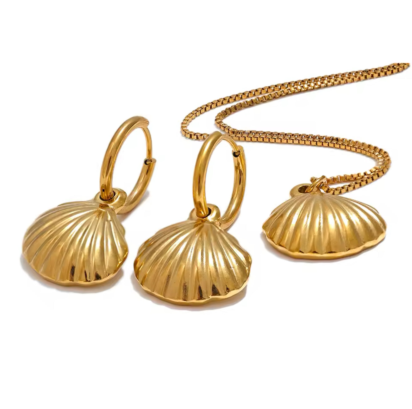 Muschel Set